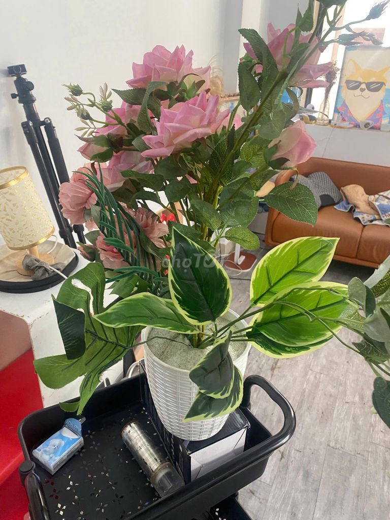 Lọ hoa nhựa lớn. Mua bán Cây cảnh, đồ trang trí tại Quận Gò Vấp Tp Hồ Chí Minh được đăng bởi kiên hiếu hình 1