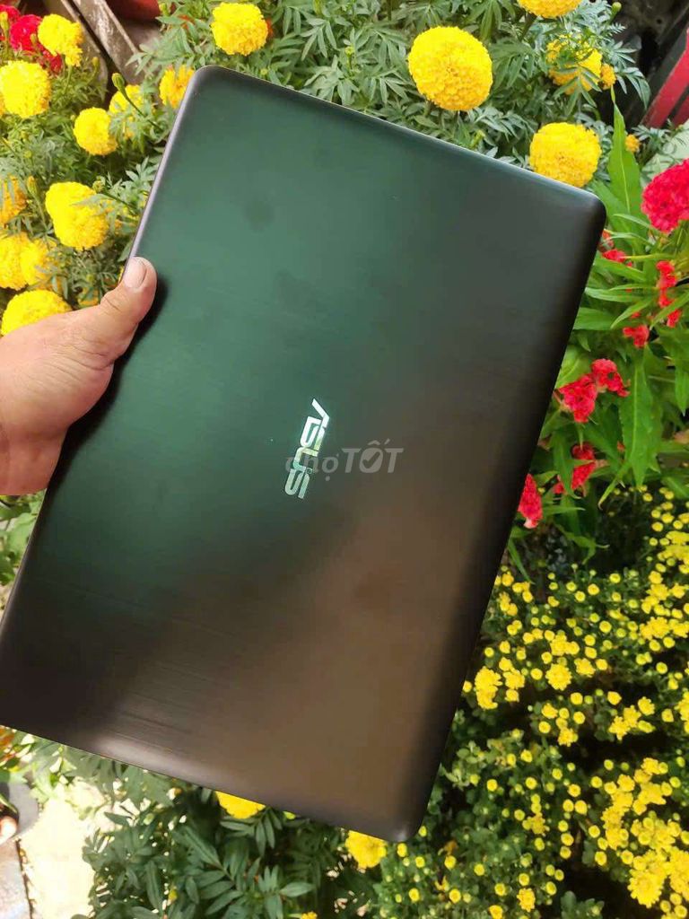 Laptop Asus. Mua bán Laptop tại Thành phố Cà Mau Cà Mau được đăng bởi Duy Nguyễn hình 2