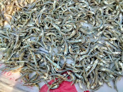 Cá cơm than khô đặc sản Bình Định. Mua bán Đồ ăn, thực phẩm và các loại khác tại Thành phố Thủ Đức Tp Hồ Chí Minh được đăng bởi Mỹ Lệ