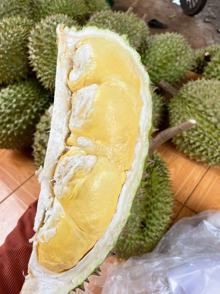 Sầu riêng vườn nhà. RI.THÁI.MUSANGKING. Mua bán Đồ ăn, thực phẩm và các loại khác tại Quận Tân Phú Tp Hồ Chí Minh được đăng bởi Nguyễn Định Thành hình 3