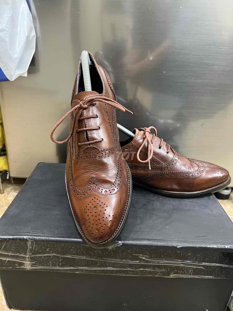 giày oxford wingtip alessandro luigi sỉze 41