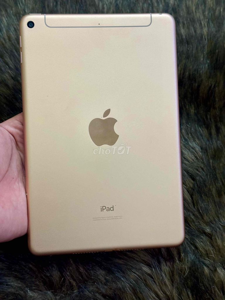 ipad mini 5 64Gb 5G/wifi đẹp keng zin nguyên bản. Mua bán Máy tính bảng tại Quận Long Biên Hà Nội được đăng bởi khoi dang minh hình 1