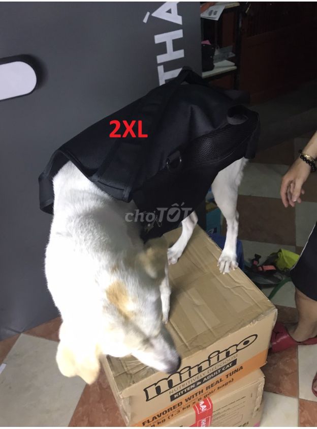 Địu Chó Mèo SIZE 2XL,Túi vận chuyển chó mèo