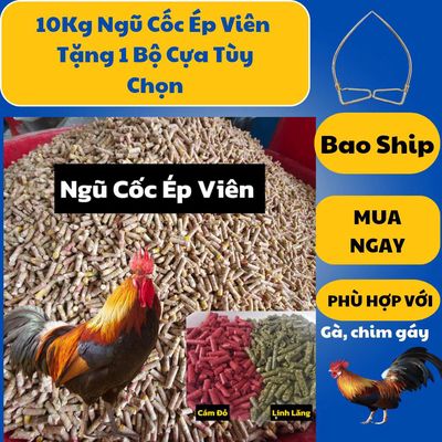 Ngũ cốc hạt ép viên cho gà ( 10kg Tặng 1 Bộ Cựa ). Mua bán Phụ kiện, Thức ăn, Dịch vụ tại Thành phố Sa Đéc Đồng Tháp được đăng bởi Nguyễn Hoàng Phú