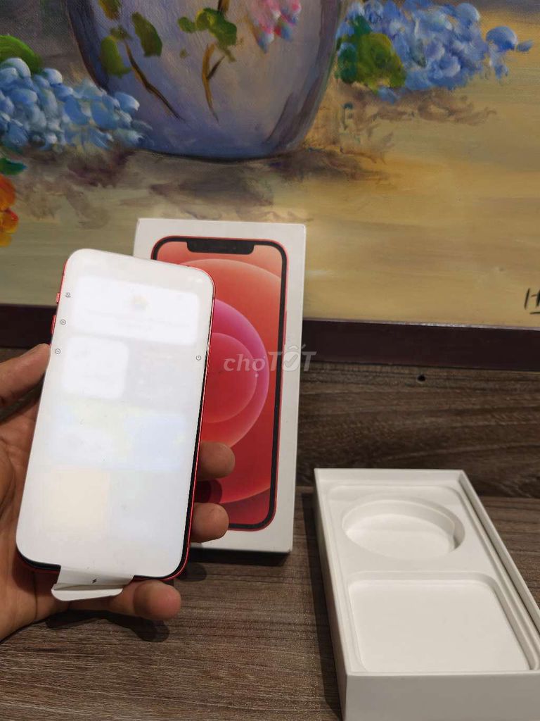 Apple iPhone 12 Đỏ. Mua bán Điện thoại tại Huyện Châu Thành Bến Tre được đăng bởi LA hình 1