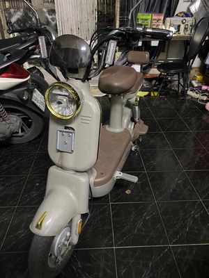 Xe đạp điện màu Xám