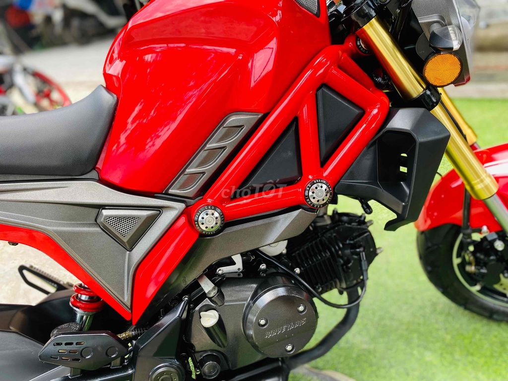 Ducati Monster mini 2 mới keng biển số 29