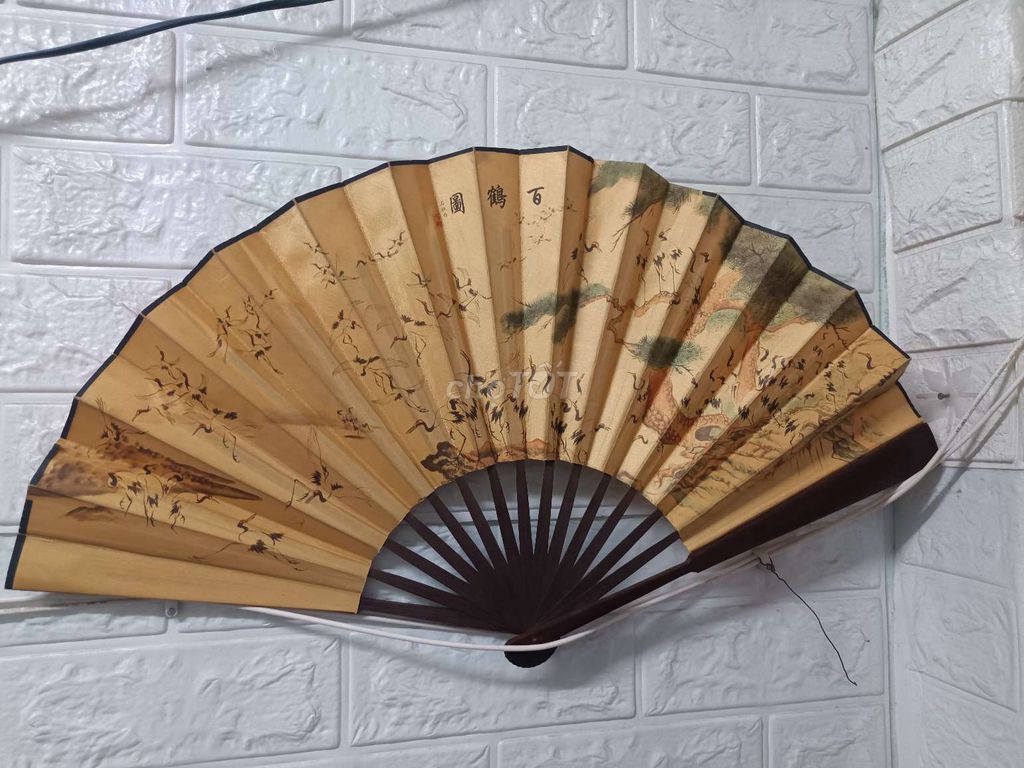 Bán quạt xếp trang trí