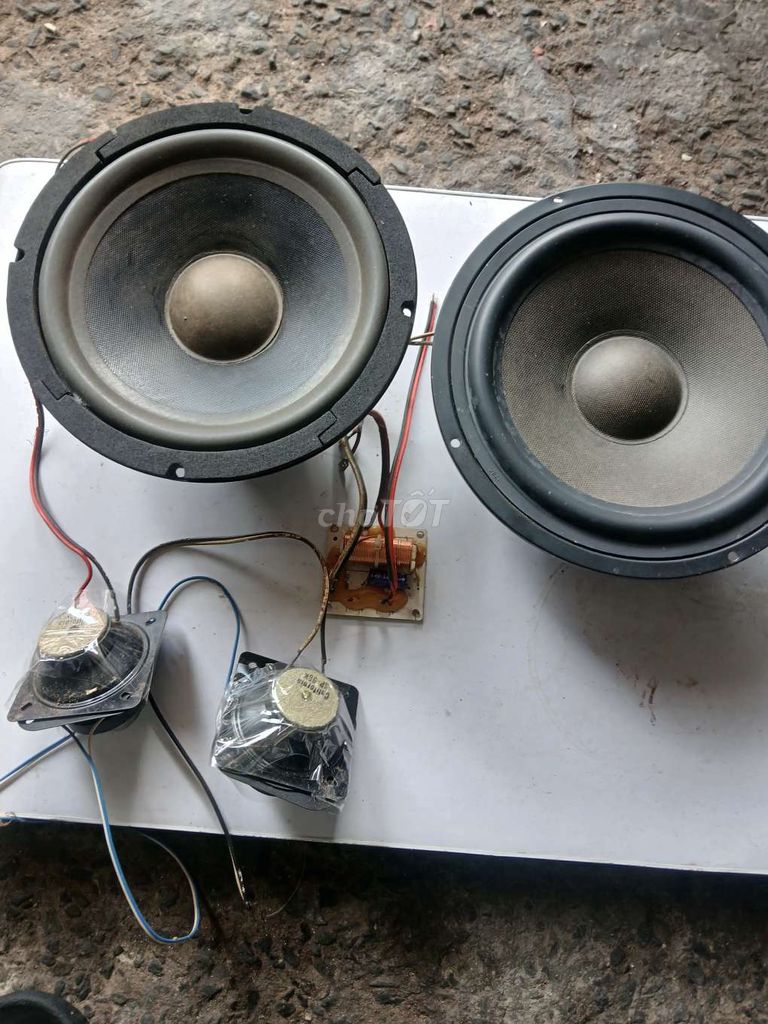Loa kéo 20cm đã sử dụng. Mua bán Tivi, Âm thanh tại Thành phố Thủ Dầu Một Bình Dương được đăng bởi hạo nam hình 1