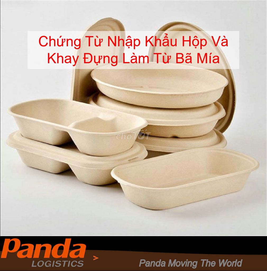 Chứng Từ Nhập Khẩu Hộp Và Khay Đựng Làm Từ Bã Mía