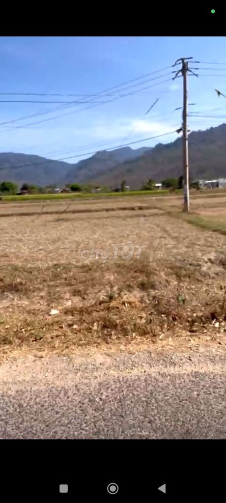 Đất thô cư rẻ Phan thiết. Mua bán đất tại Huyện Hàm Thuận Nam Bình Thuận được đăng bởi Nguyên van hai hình 1