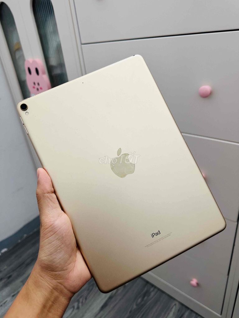 iPad Pro 10.5 inch 64GB Nguyên Rin 99%