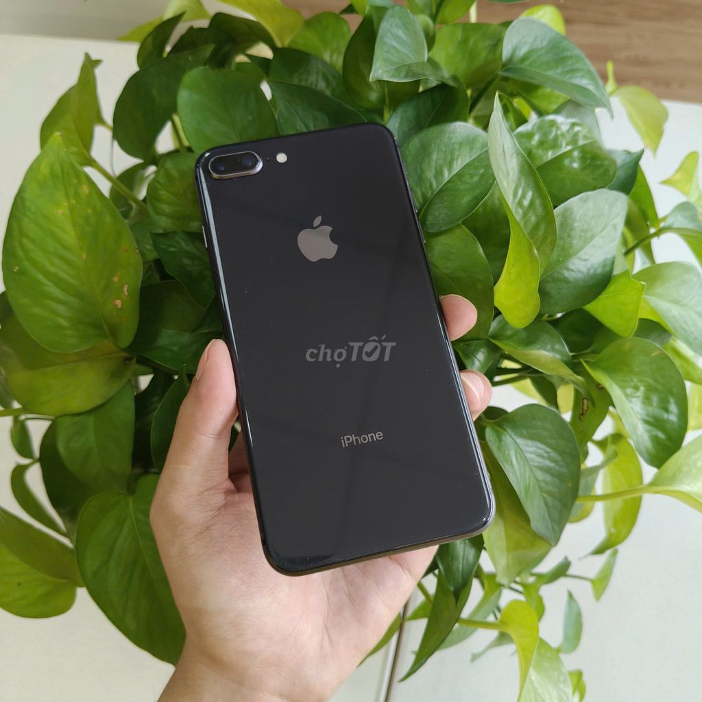 iPhone 8 Plus 64GB LL/A ★ᴛʜᴜ ᴆᴛ ᴄᴜ̃★. Mua bán Điện thoại tại Quận Ninh Kiều Cần Thơ được đăng bởi DI ĐỘNG BULL hình 1