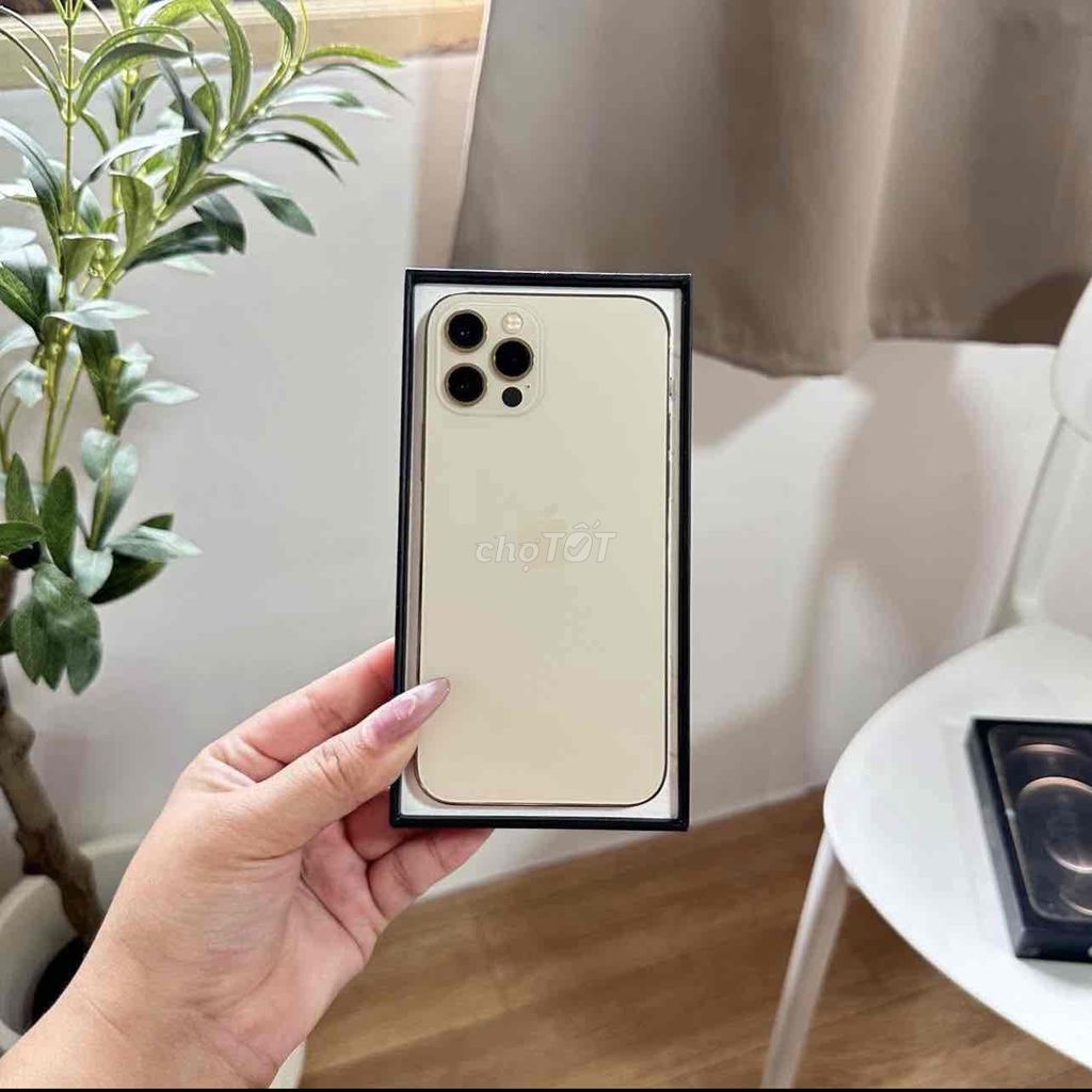 iPhone 12 Pro 256GB Gold FULLBOX 99% BH APPLE 2023. Mua bán Điện thoại tại Quận 10 Tp Hồ Chí Minh được đăng bởi iStockHCM hình 1