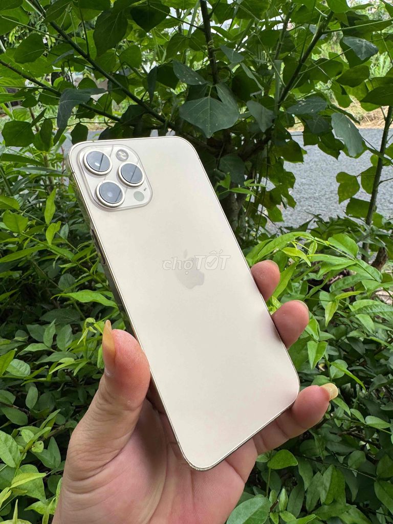Apple iPhone 12 Pro Max 128GB Vàng. Mua bán Điện thoại tại Thành phố Cà Mau Cà Mau được đăng bởi Nguyễn An hình 1