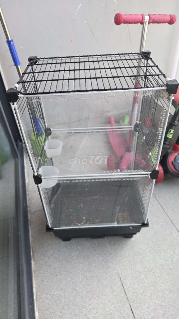 Lồng chim kim loại nhựa. Mua bán Phụ kiện, Thức ăn, Dịch vụ tại Thành phố Thủ Đức Tp Hồ Chí Minh được đăng bởi Hieu hình 1