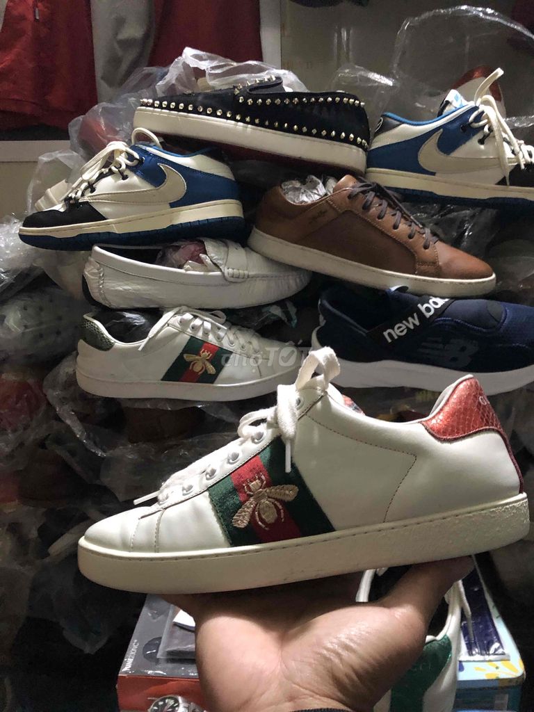 Giày thể thao Gucci Ong Da thật Trắng 39-39.5. Mua bán Giày dép tại Huyện An Dương Hải Phòng được đăng bởi Tu Tang Quang hình 1