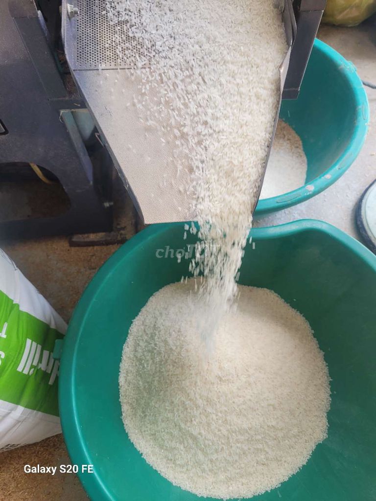 Gạo ST25 chà nhà. Mua bán Đồ ăn, thực phẩm và các loại khác tại Thành phố Sóc Trăng Sóc Trăng được đăng bởi Hải Đăng  hình 1