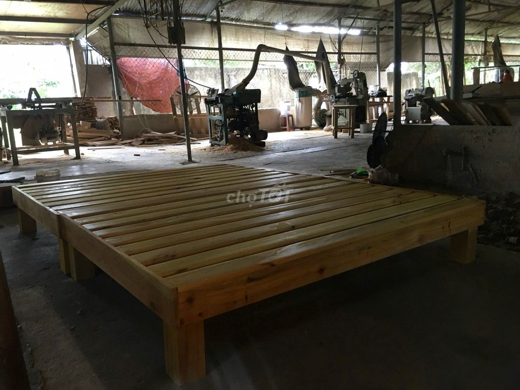 GIƯỜNG PALLET GỖ THÔNG GẤP GỌN