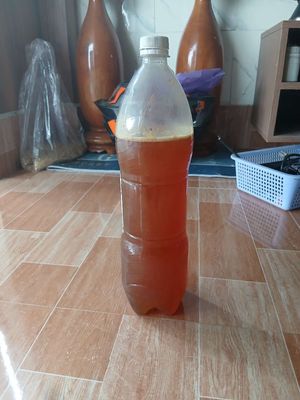 Ong mật... mật ong rừng. Mua bán Đồ ăn, thực phẩm và các loại khác tại Huyện Bắc Bình Bình Thuận được đăng bởi Nguyễn Quốc Phong