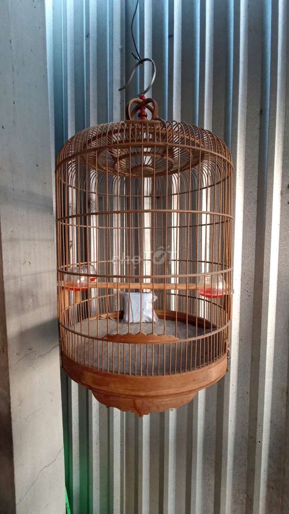 Lồng tre 60n đủ pk. Mua bán Phụ kiện, Thức ăn, Dịch vụ tại Huyện Long Hồ Vĩnh Long được đăng bởi Thanh Trung hình 1