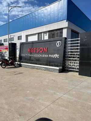 Kesson logo