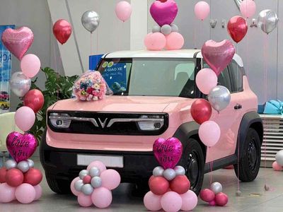 VF3: CHIẾC XE ĐÁNG ĐỒNG TIỀN BÁT GẠO NHẤT NĂM 2025