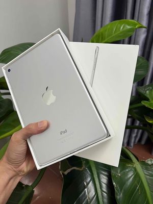 Apple iPad mini 4 128GB Bạc keng 99