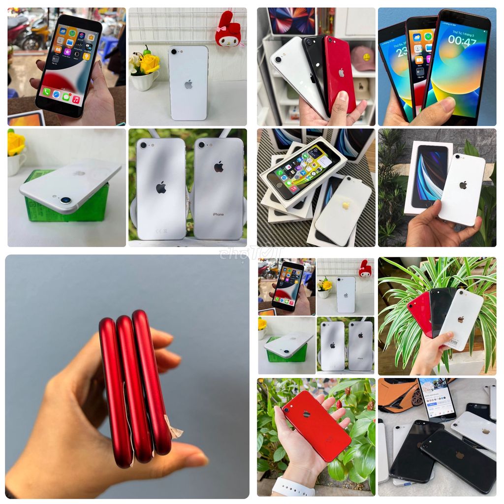 SE 2020 Quốc Tế 256GB/128GB/64Gb Có Bh có ship. Mua bán Điện thoại tại Quận Tân Phú Tp Hồ Chí Minh được đăng bởi Thảo Anh Apple Giá sỉ hình 2