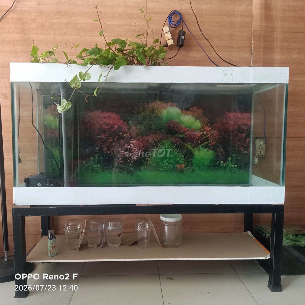 Hồ cá kính 1m2 x 60cm x 40cm. Mua bán Thú cưng khác tại Huyện Bình Chánh Tp Hồ Chí Minh được đăng bởi Nguyễn Ngọc Kiệt hình 1
