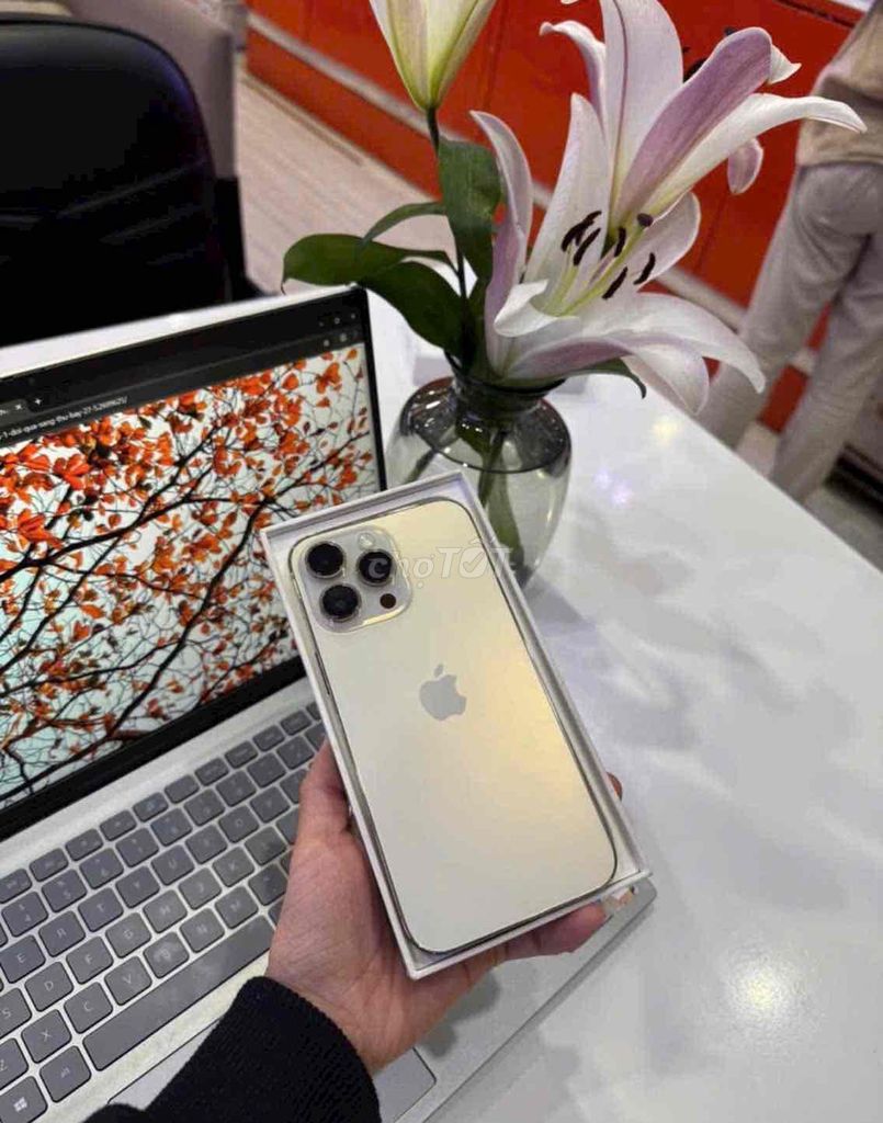 iphone 13promax 1tb vàng qtế mỹ pin83 zin áp suất. Mua bán Điện thoại tại Quận 3 Tp Hồ Chí Minh được đăng bởi Nam Á Mobile hình 1
