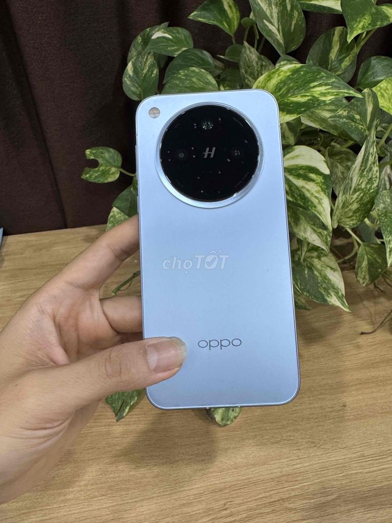 Oppo Find X8 12/256GB Xám CÓ TRẢ GÓP. Mua bán Điện thoại tại Quận Hoàng Mai Hà Nội được đăng bởi Gia Vinh hình 1