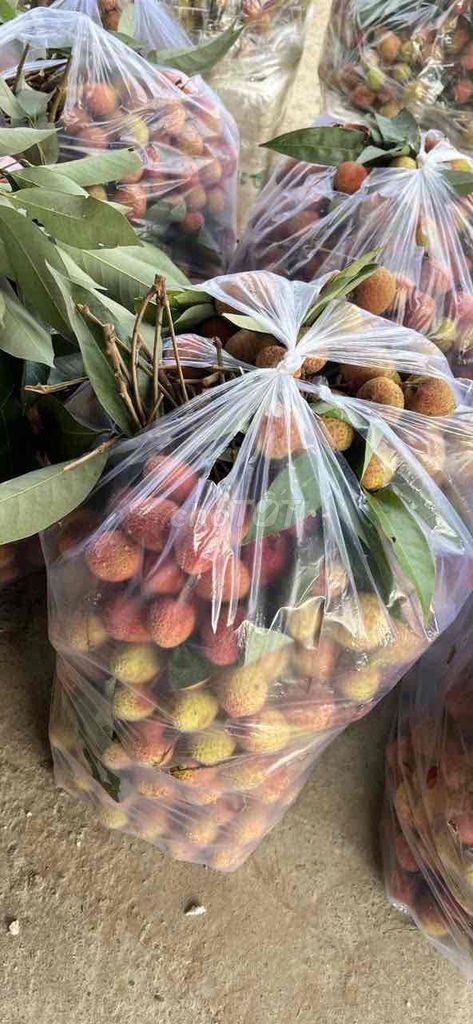 Vải u đường. Mua bán Đồ ăn, thực phẩm và các loại khác tại Quận Tây Hồ Hà Nội được đăng bởi Nguyễn Giang hình 1