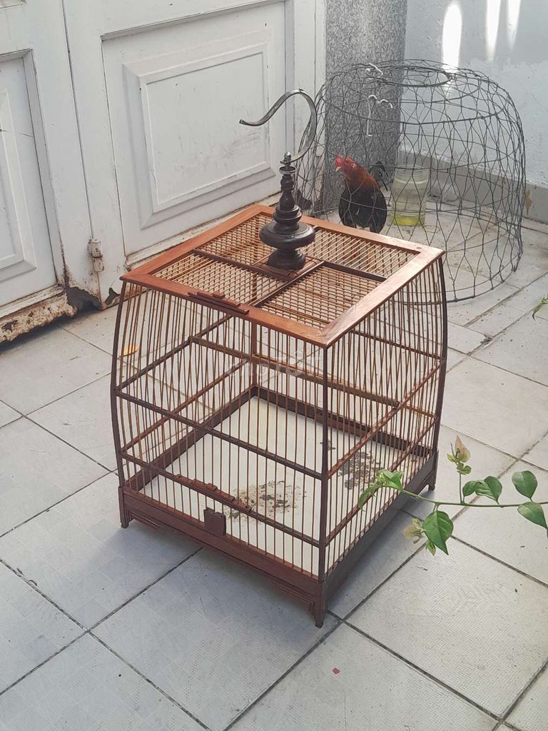 Lồng chim Gỗ Nâu. Mua bán Phụ kiện, Thức ăn, Dịch vụ tại Quận Tân Bình Tp Hồ Chí Minh được đăng bởi Nguyên phạm hình 1