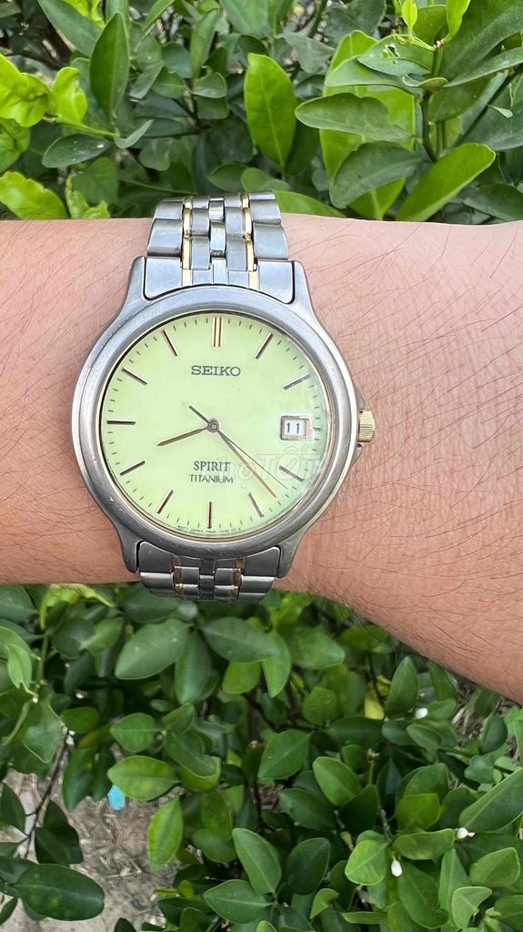 Seiko Spirit Dạ Quang