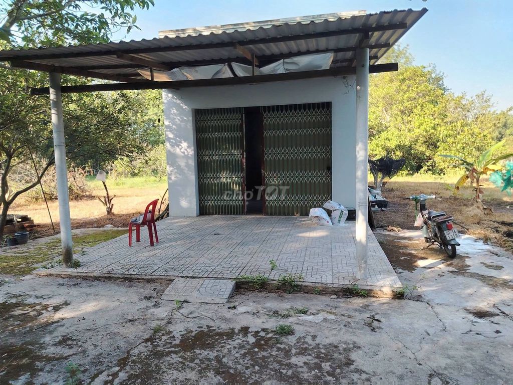 Bán đất mặt tiền Đỗ Đăng Tuyển, Củ Chi, 3362m2, giá 8.5 tỷ