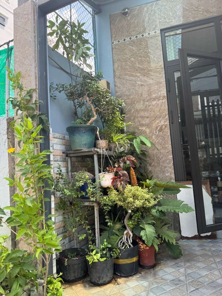HẺM XE HƠI THÔNG – NHÀ MỚI 73M² – NGANG 5.5M NỞ HẬU – CHỈ 4.2 TỶ. Mua bán nhà ở tại Thành phố Thủ Đức Tp Hồ Chí Minh được đăng bởi Thành BĐS hình 4