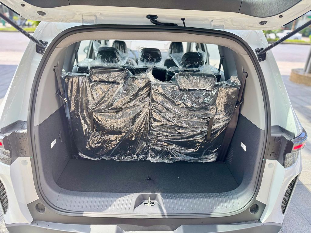 VinFast Limo Green 2025. Mua bán Ô tô tại Thành phố Hưng Yên Hưng Yên được đăng bởi Vinfast Ocean Park Gia Lâm Hà Nội hình 9