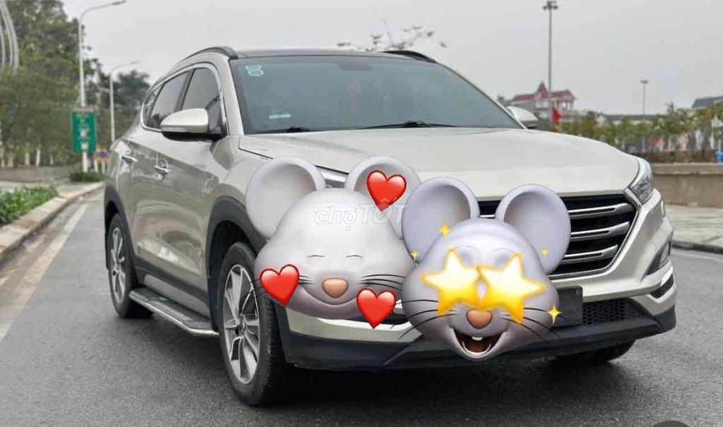 Ảnh số 8