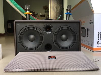 Loa thùng AD audio pro 9999 bass 20 100W mới 100%