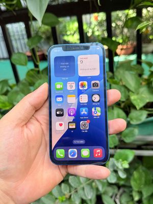 Iphone 12 Xanh VN/A zin Ốc Áp Bán Có GL. Mua bán Điện thoại tại Quận Bình Tân Tp Hồ Chí Minh được đăng bởi Tân Phạm