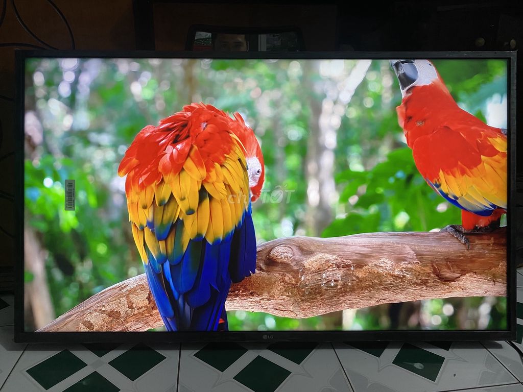 Tivi LG 43 inch 4K. Mua bán Tivi, Âm thanh tại Quận Liên Chiểu Đà Nẵng được đăng bởi Ngo Phuc hình 1