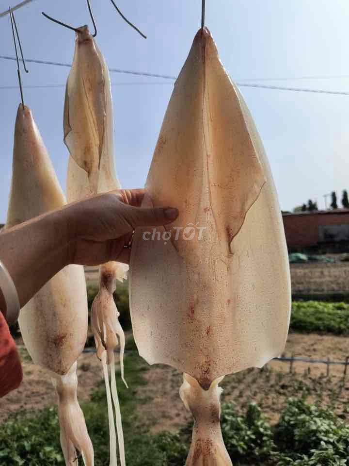 Mực một nắng 3-4 con/kg. Mua bán Đồ ăn, thực phẩm và các loại khác tại Quận 10 Tp Hồ Chí Minh được đăng bởi Anh Anh hình 1