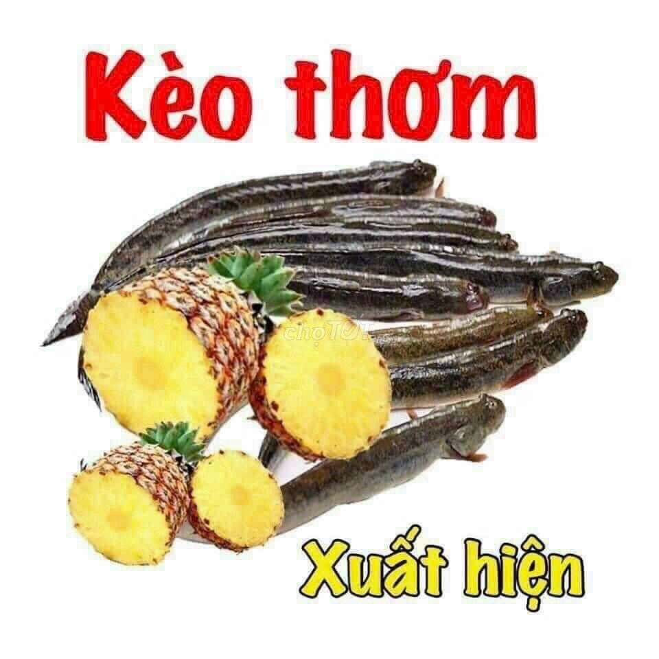 🌹🌹SIÊU PHẨM NHỎ TIỀN CỘNG HÒA 1 SẸC - NHỈNH MỘT TỶ CÓ NHÀ 3 TẦNG