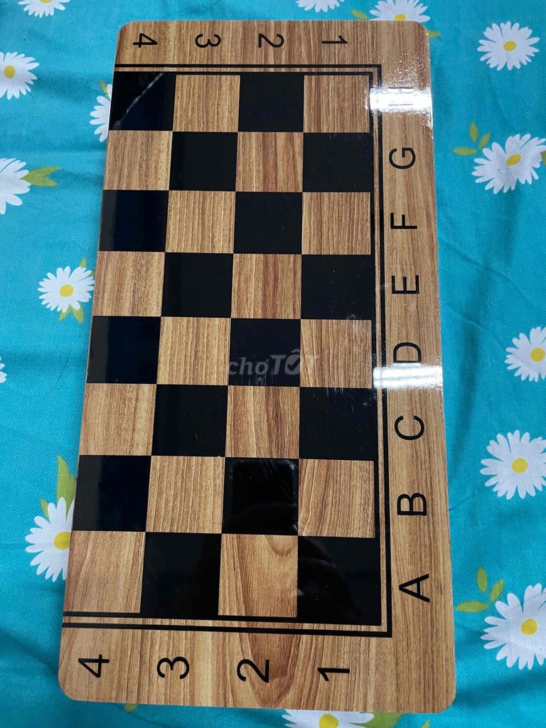 Bộ cờ vua và cờ backgammon cao cấp