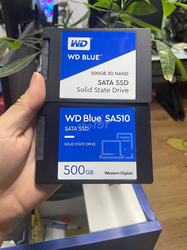Ổ cứng SSD Western Digital WD Blue 500GB. Mua bán Linh kiện (RAM, Card...) tại Quận Gò Vấp Tp Hồ Chí Minh được đăng bởi Phương Phan hình 1