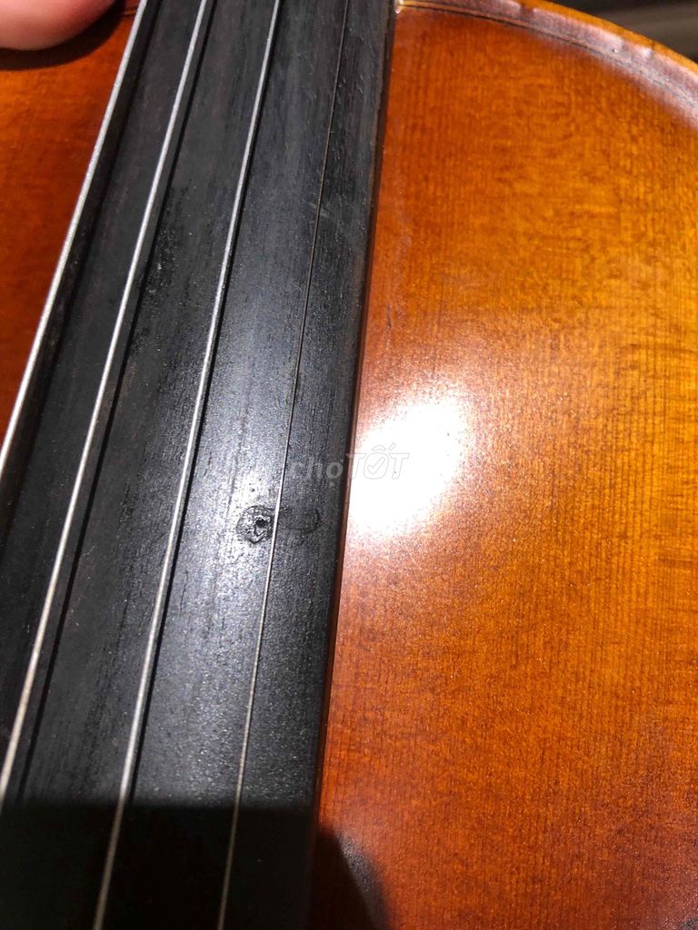 Pass Violin TV02 mua bên Thích Violin