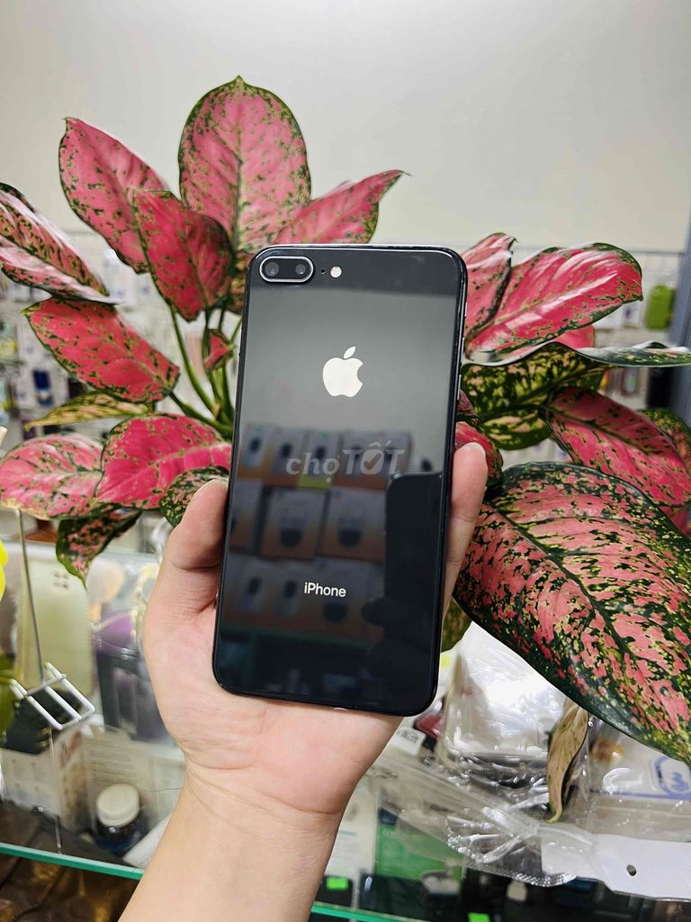 iphone 8 plus quốc tế bao reset vân tay nhạy ful