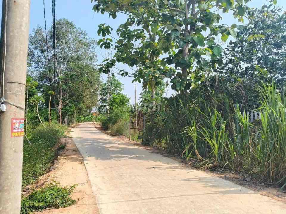 Vườn nghỉ dưỡng gần sông 4300m2 có 300TC chỉ 1.850 tỷ. Mua bán Đất tại Huyện Tân Phú Đồng Nai được đăng bởi Trần Dung hình 3