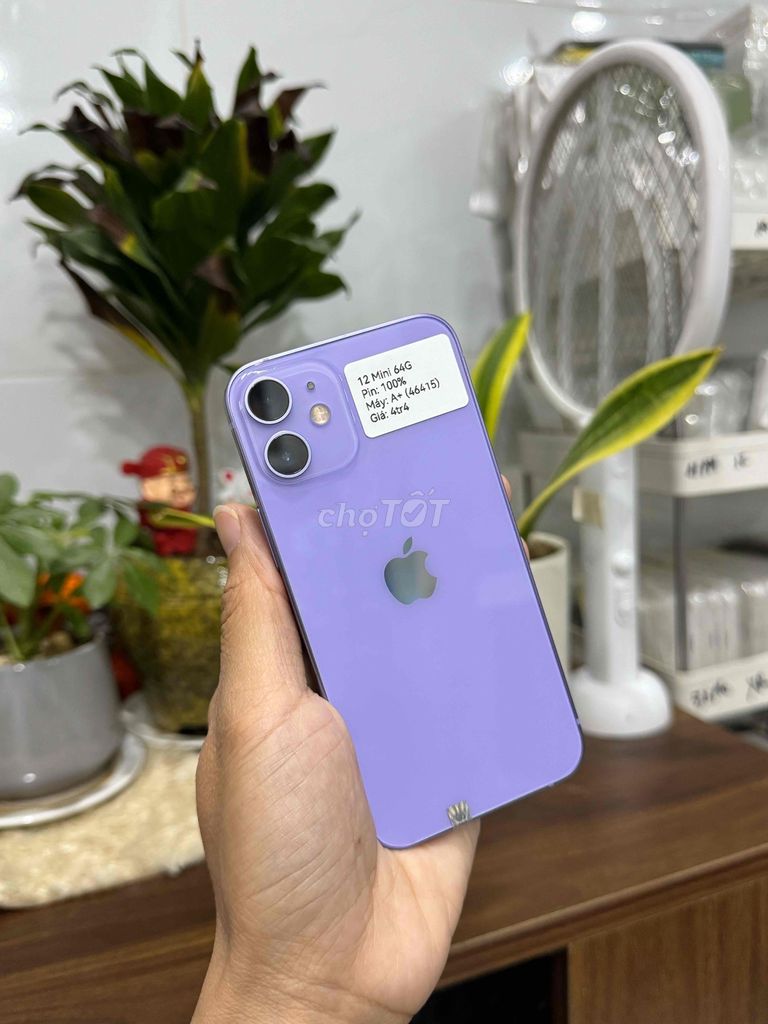 iPhone 12 Mini 64G Quốc tế Tím P100 Zin Đẹp 99. Mua bán Điện thoại tại Huyện Hóc Môn Tp Hồ Chí Minh được đăng bởi Thu hình 1